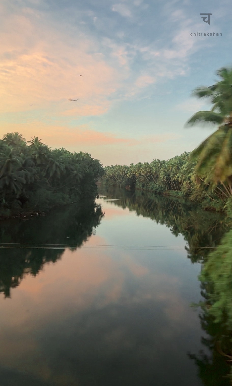 nature photo