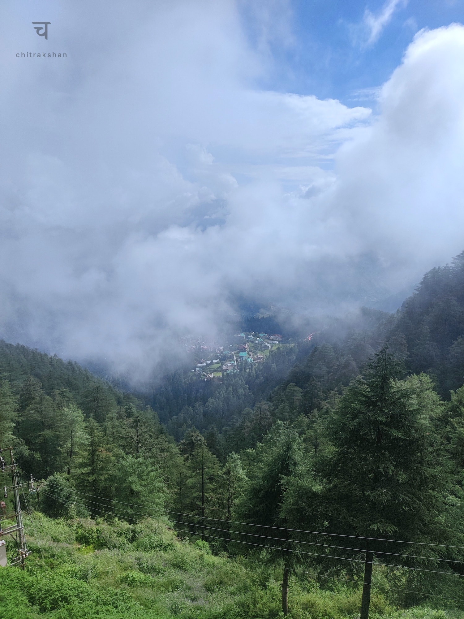 nature photo
